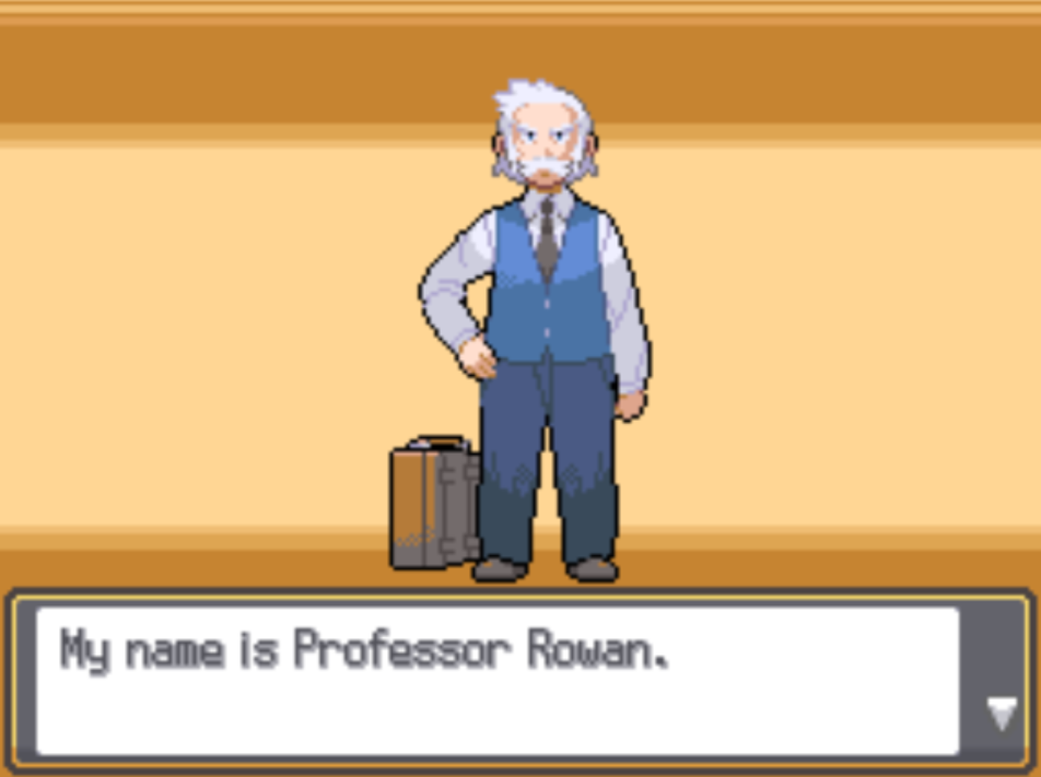 Pokemon Garbage Gold Deluxe