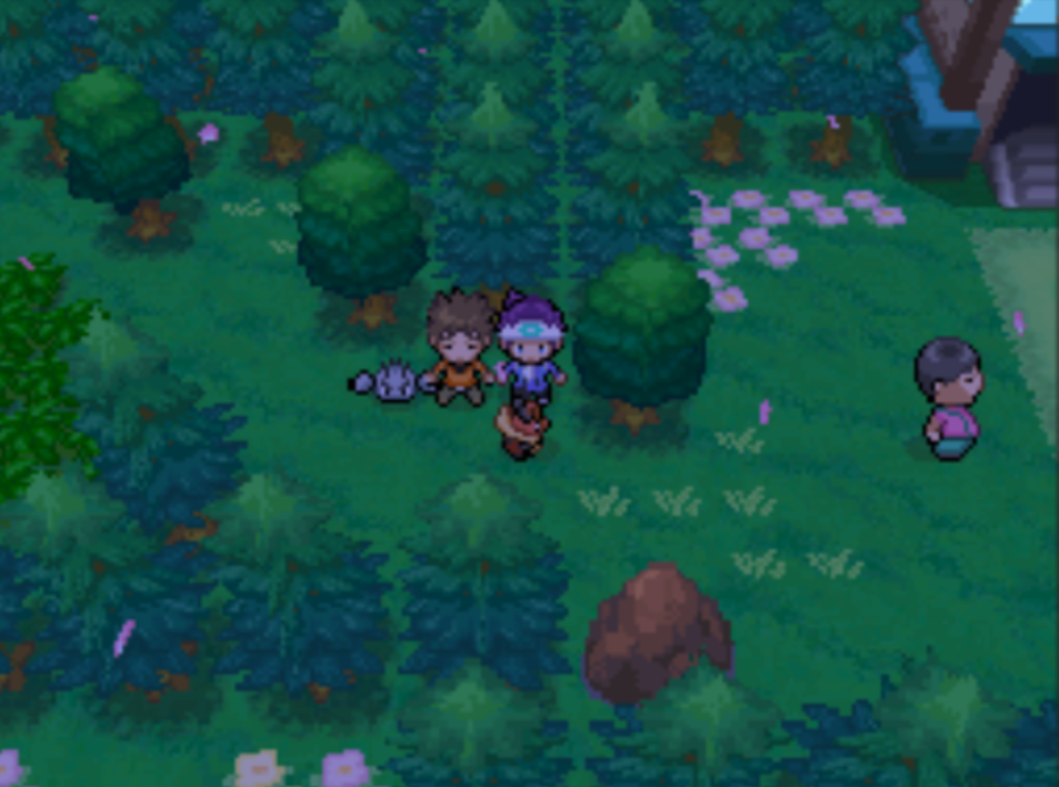 Pokemon Garbage Gold Deluxe